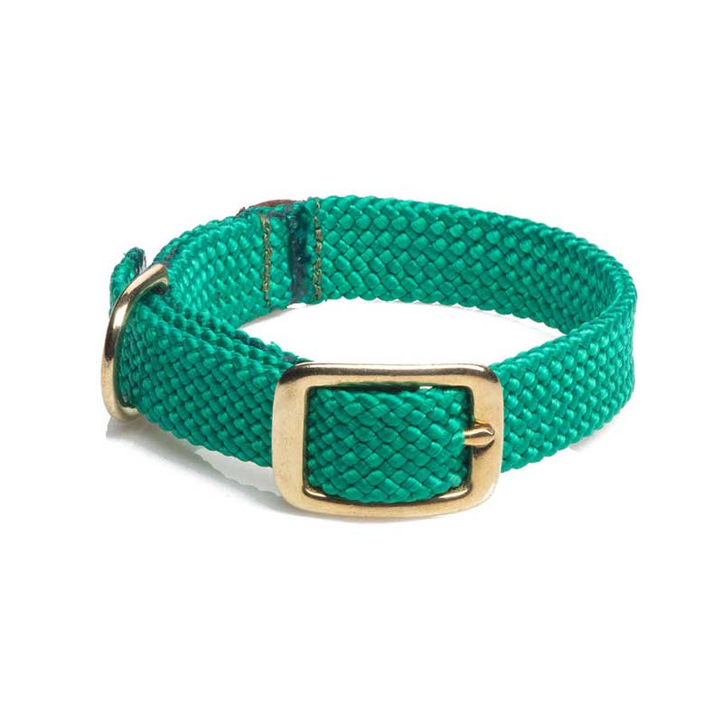 Dog Collars ScopeUout NZ