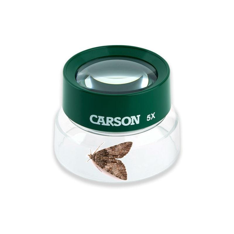 Carson BugLoupe 4.5x Stand Magnifier (Outdoor Green)