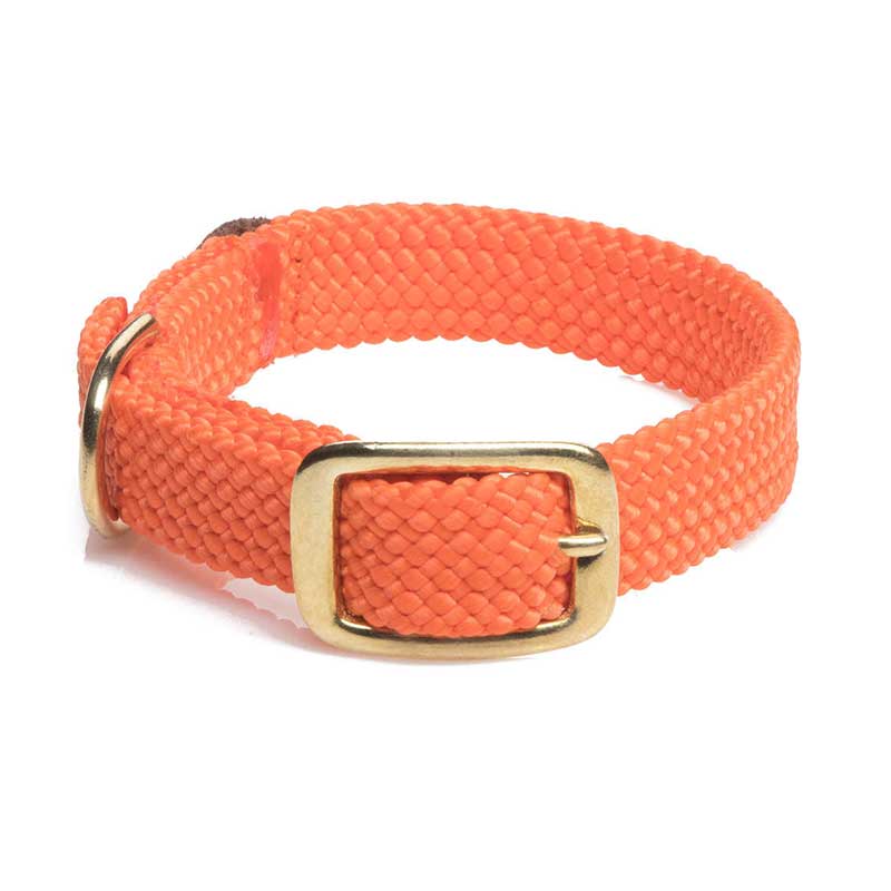 Mendota Double Braid Collar - Brass, puppy, orange