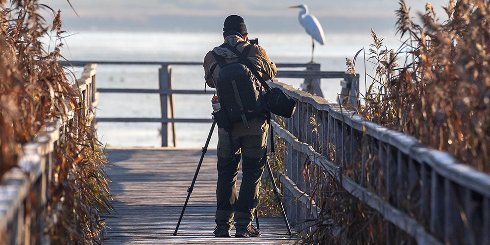 Binoculars for Wildlife Photography: Tips and Tricks