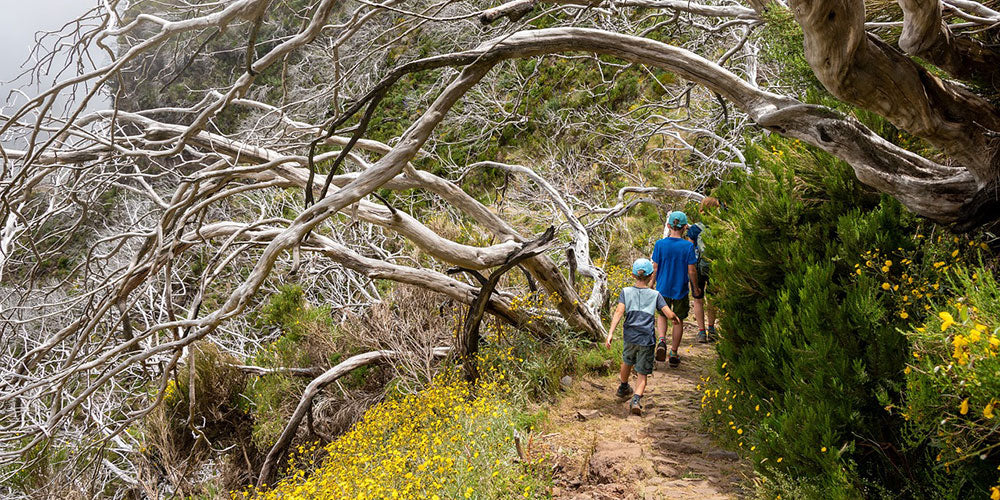 Kids Binoculars NZ: Getting Children Outdoors and Exploring Nature