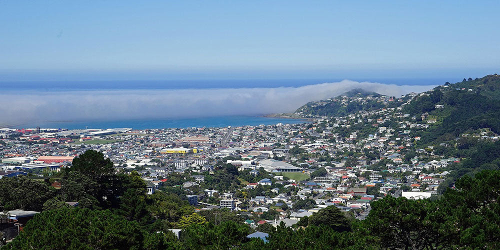 Spotting Scopes for Winter Viewing in New Zealand