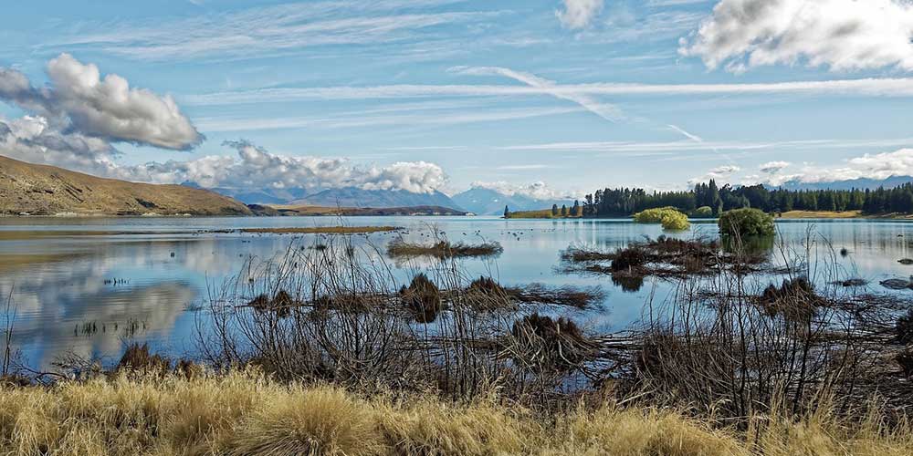 Spotting scopes for the bach