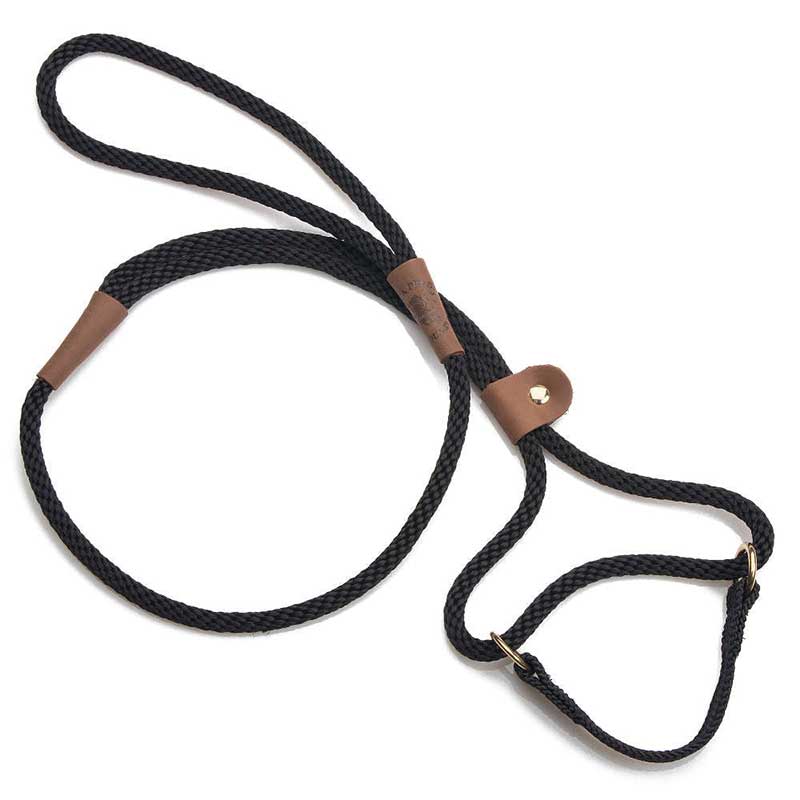 Mendota Dog Walker Martingale Lead - Small Dogs - Black