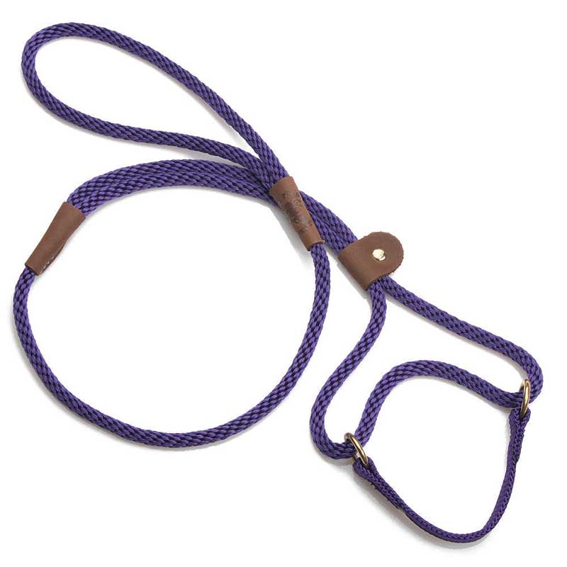 Mendota Dog Walker Martingale Lead - Small Dogs - Purple
