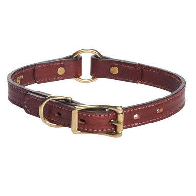 Mendota Leather Hunting Dog Collar - Narrow