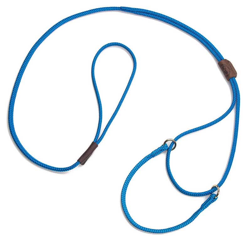 Mendota Martingale Dog Show Lead - Blue